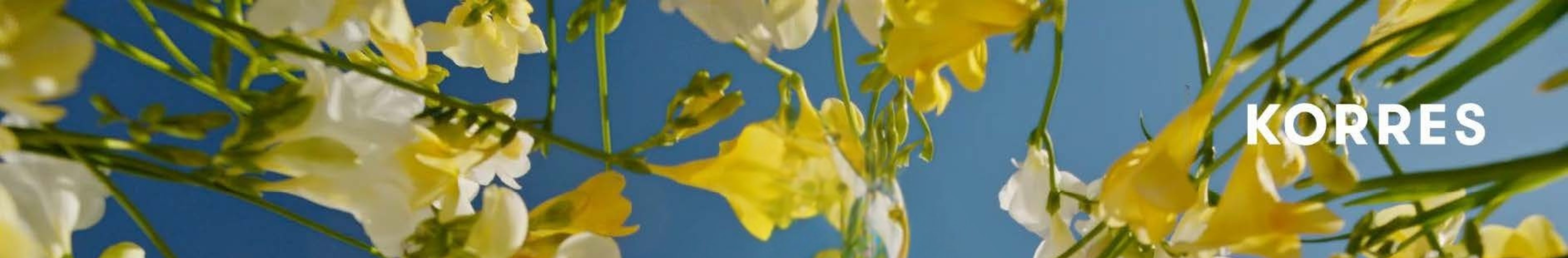 Korres